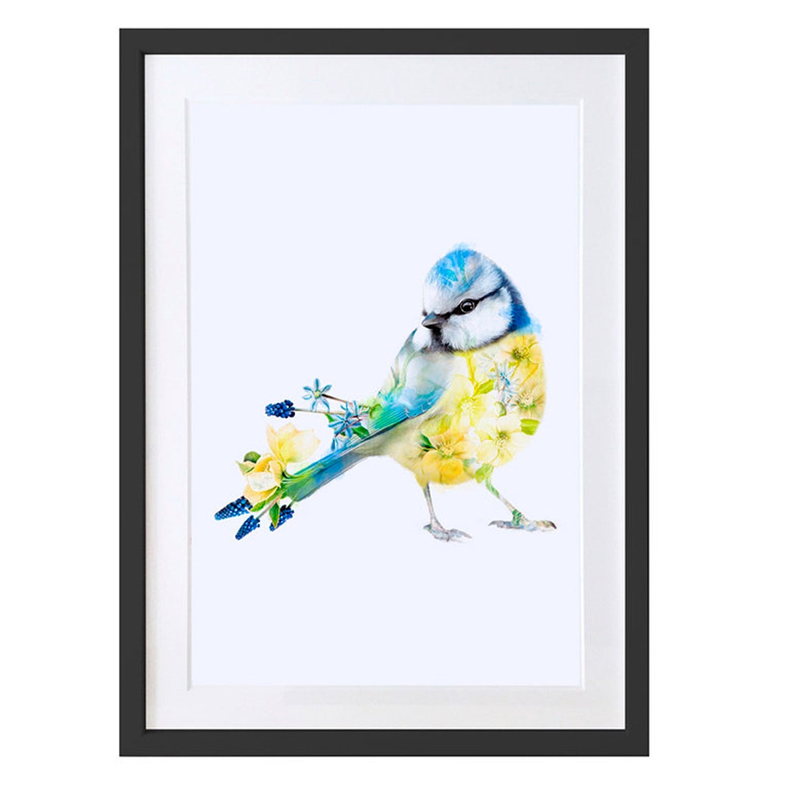 Blue Tit Bird Art Print