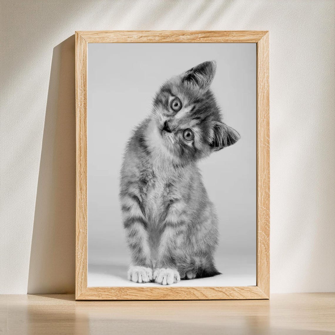 Kitten Poster, Cute Cat Animal Portrait