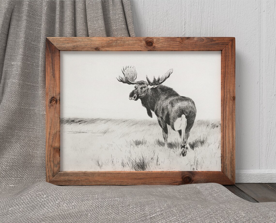 Moose In Field Vintage Wildlife Sketch Art Print - Image 3