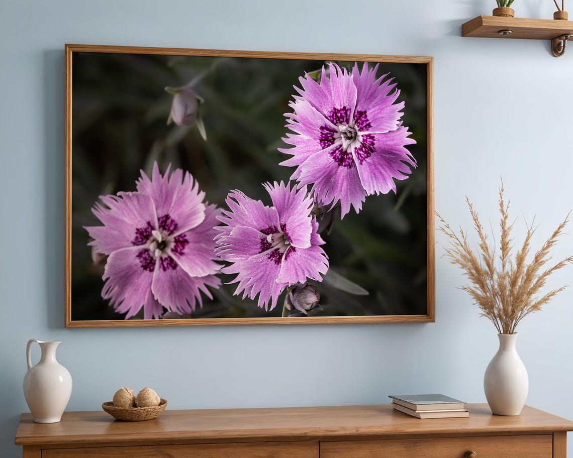 Pink Dianthus Flowers in Full Bloom Close Up Macro Photo Poster