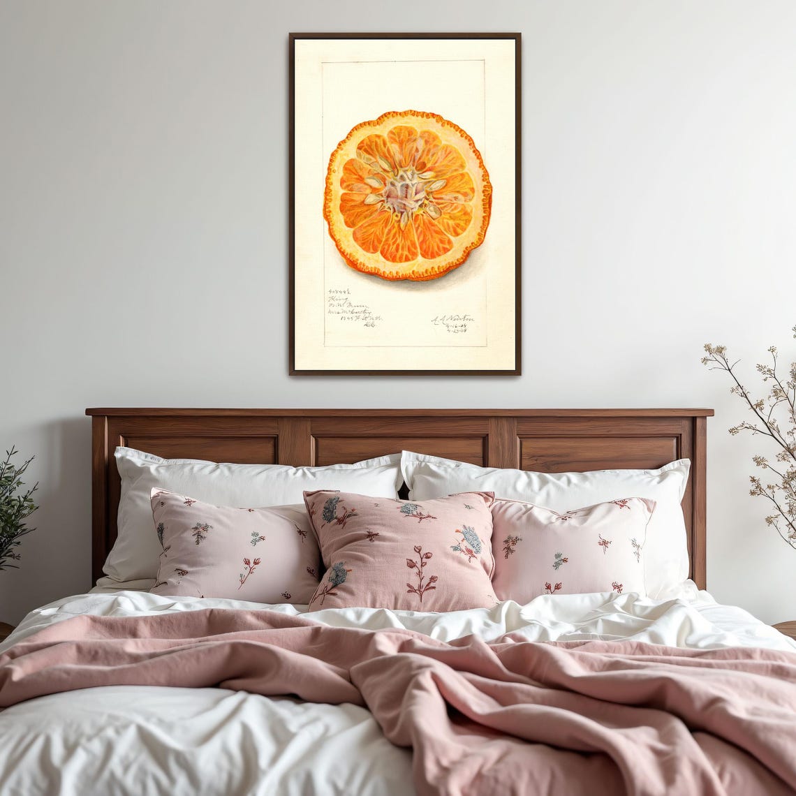 Dried Orange Slice Cross Section Vintage Citrus Botanical Art Poster - Image 5