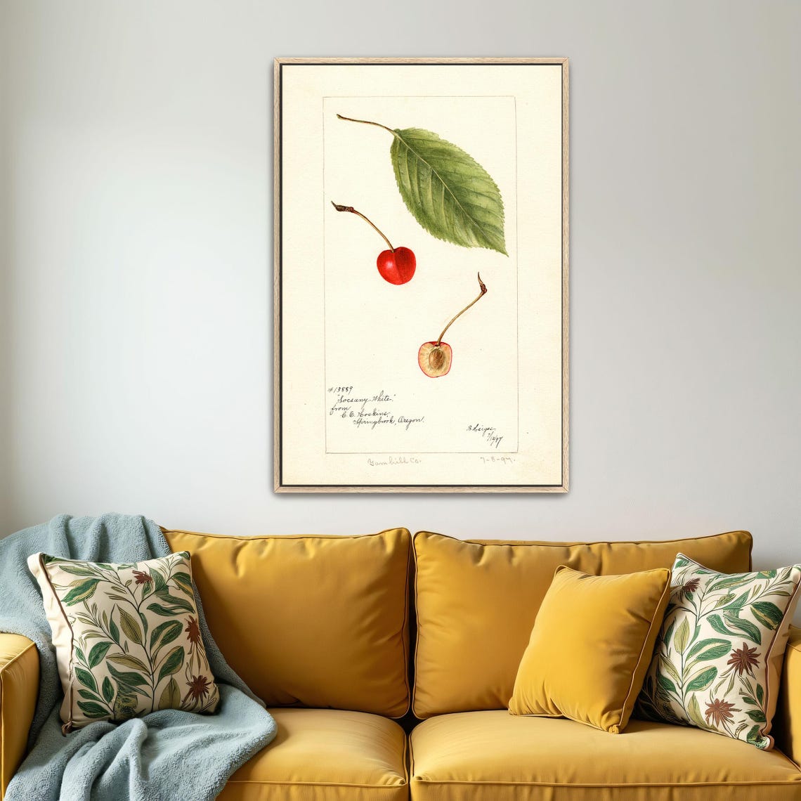 Red Cherry With Green Leaf Whole And Halved Botanical Study Art Poster - Image 4