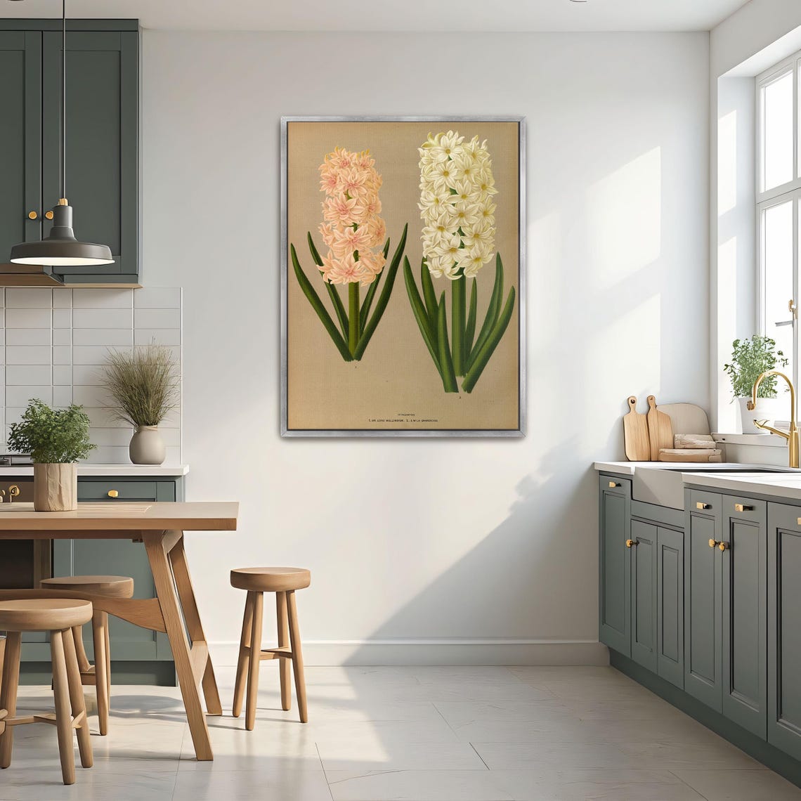 Two Hyacinth Flowers Pink and White Botanical Illustration Poster