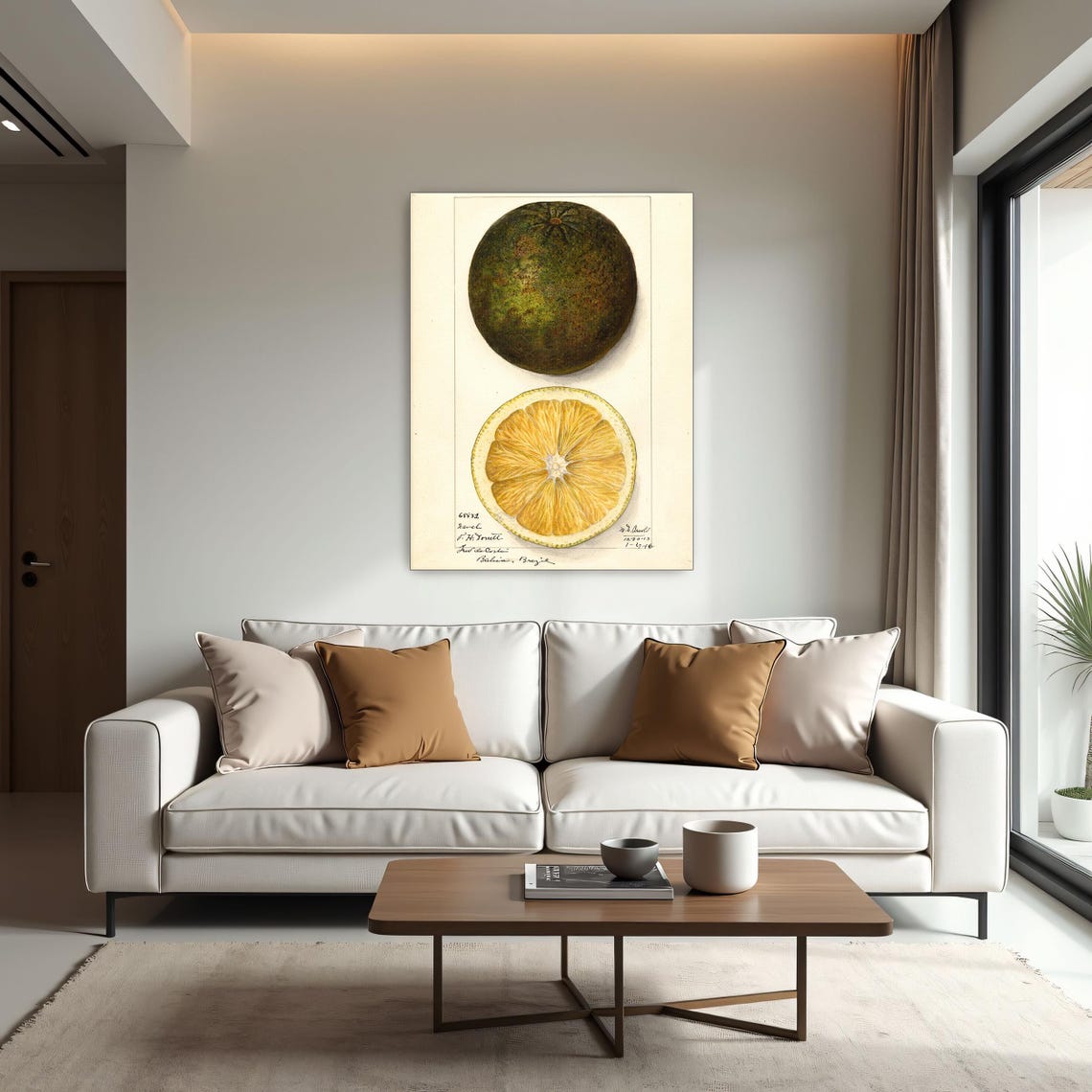 Vintage Pomelo Citrus Botanical Illustration Cross Section Poster - Image 2
