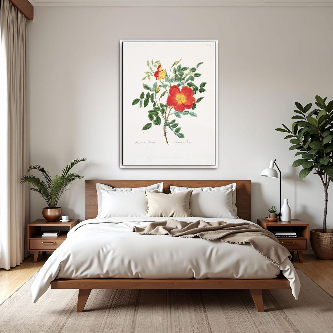 Austrian Rose Red Bloom Vintage Botanical Illustration Art Poster - Image 3