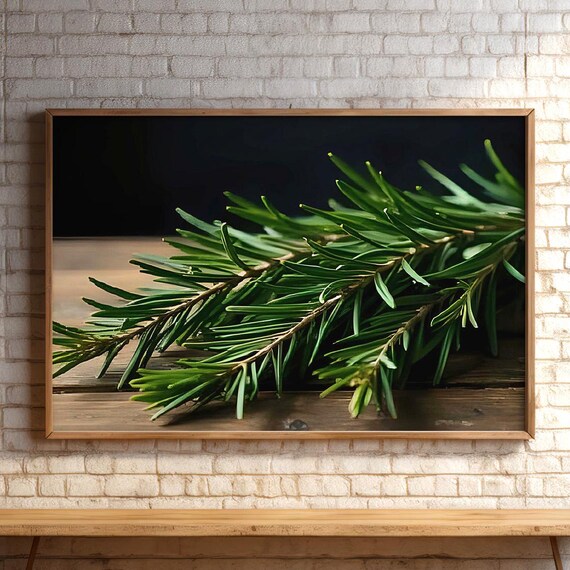 Fresh Rosemary Sprigs Rustic Wood Dark Moody Herb Kitchen Art Poster
