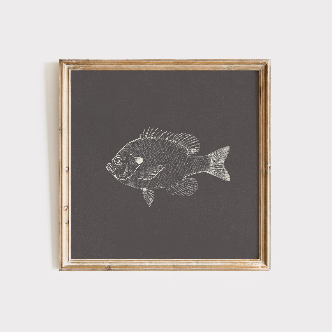 Charcoal Bluegill Fish Square Print Instant Wall Art Trendy Decor Illustration Nautical - Image 2