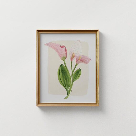 Pink Calla Lily Watercolor Elegant Trio Stem Botanical Art Print