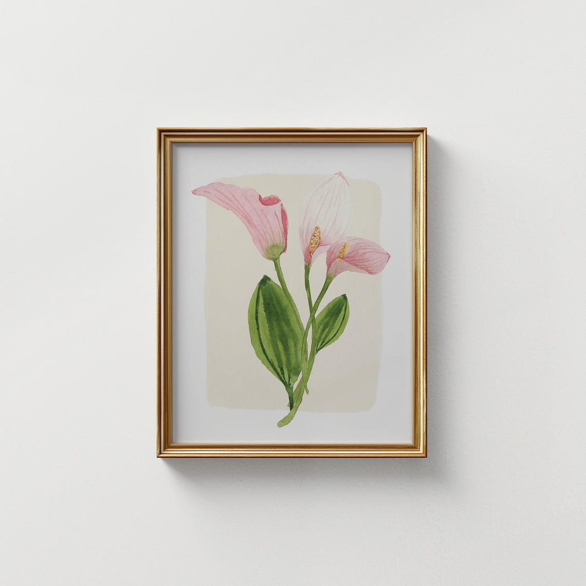 Pink Calla Lily Watercolor Elegant Trio Stem Botanical Art Print