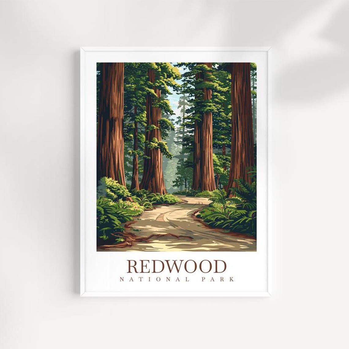 Redwood National Park Towering Giant Trees Forest Path Art Print