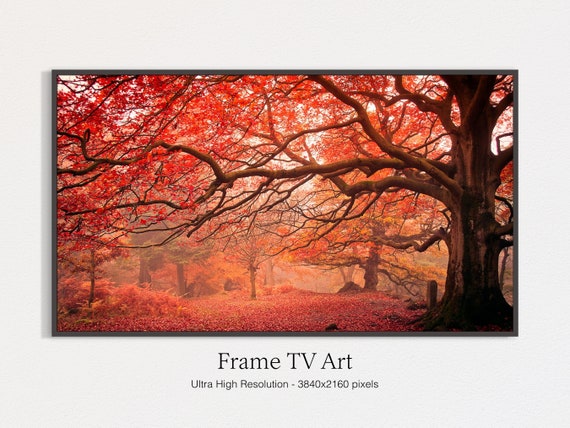 Autumn Landscape Bokeh, Fall Landscape Art Print