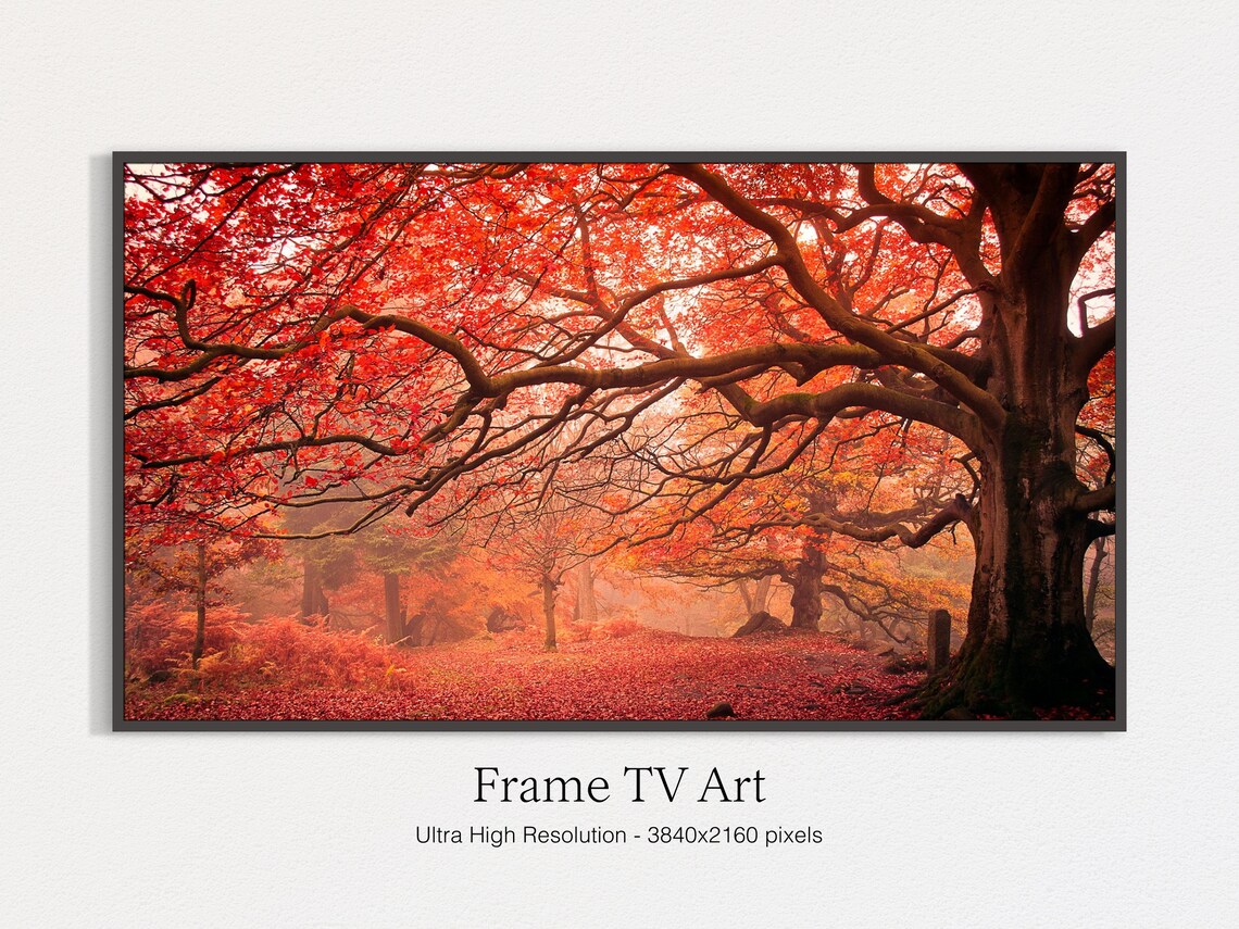 Autumn Landscape Bokeh, Fall Landscape Art Print