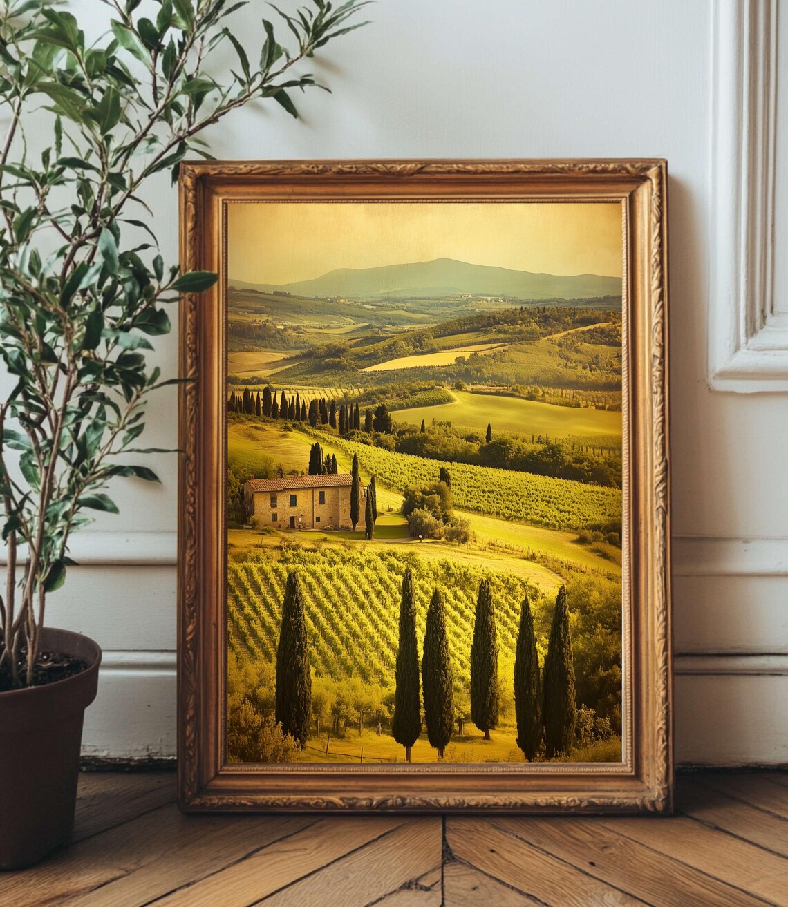 Tuscan Farmhouse in Golden Vineyard Valley With Cypress Trees Poster