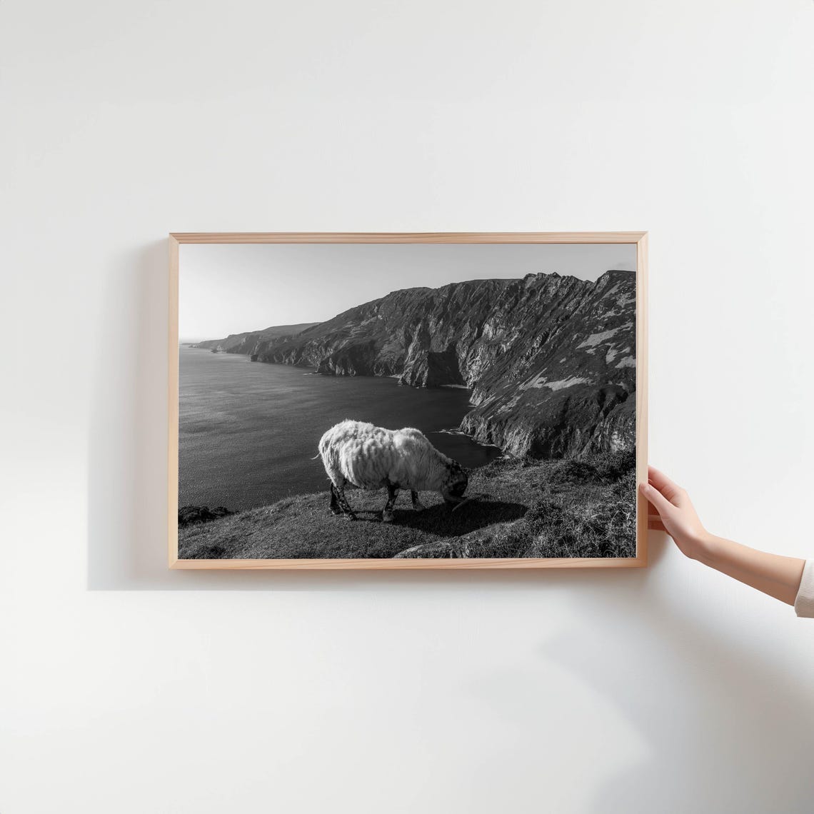 Sheep Grazing on Cliff Edge Above Sea Black White Photo Poster - Image 2