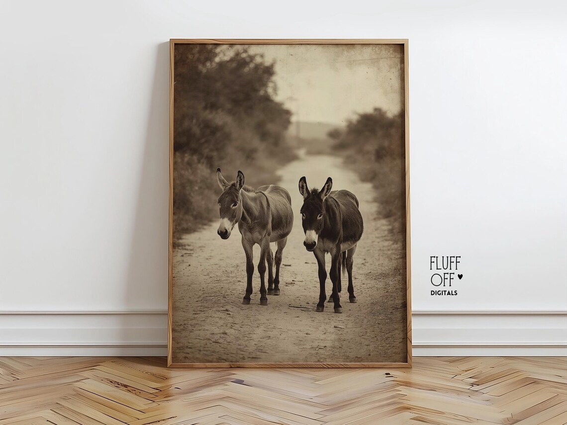 Rustic Vintage Donkeys Walking Down Country Path