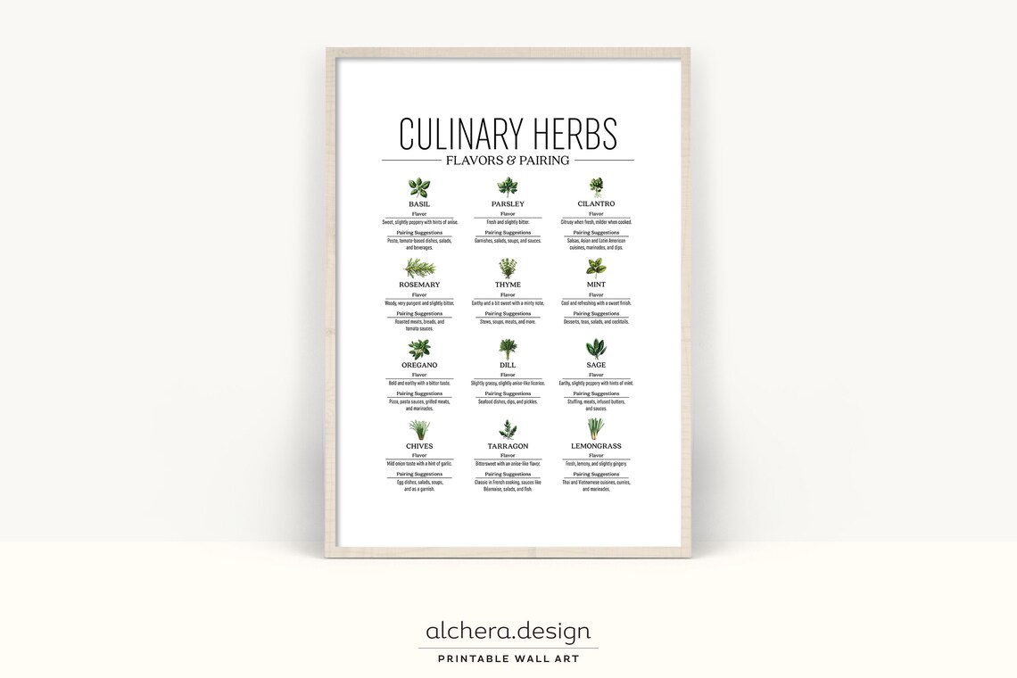Herb Guide Poster, Kitchen Wall Decor Art Print