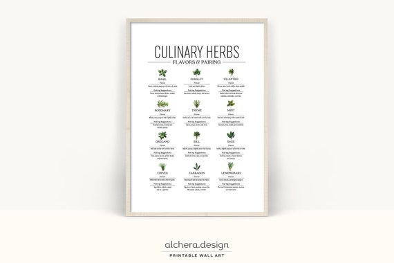 Herb Guide Poster, Kitchen Wall Decor Art Print