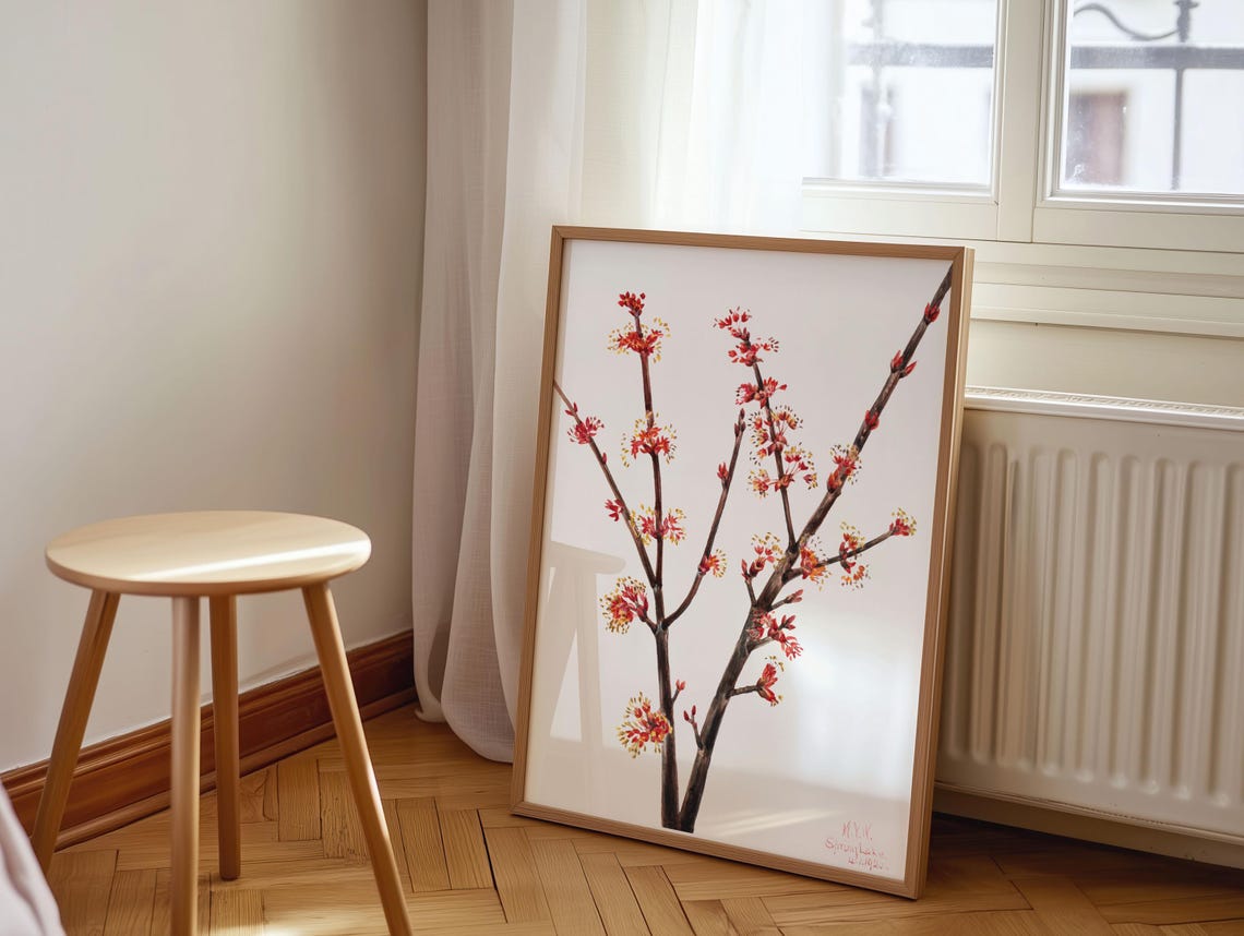 Red Maple Blossoming Branches Mary Vaux Walcott Spring Poster