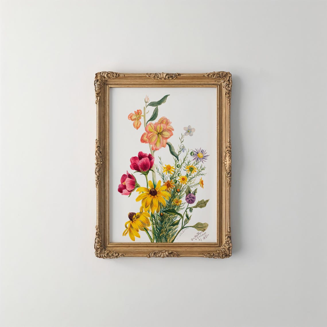 Mary Vaux Walcott Flower Print Vintage Botanical Art