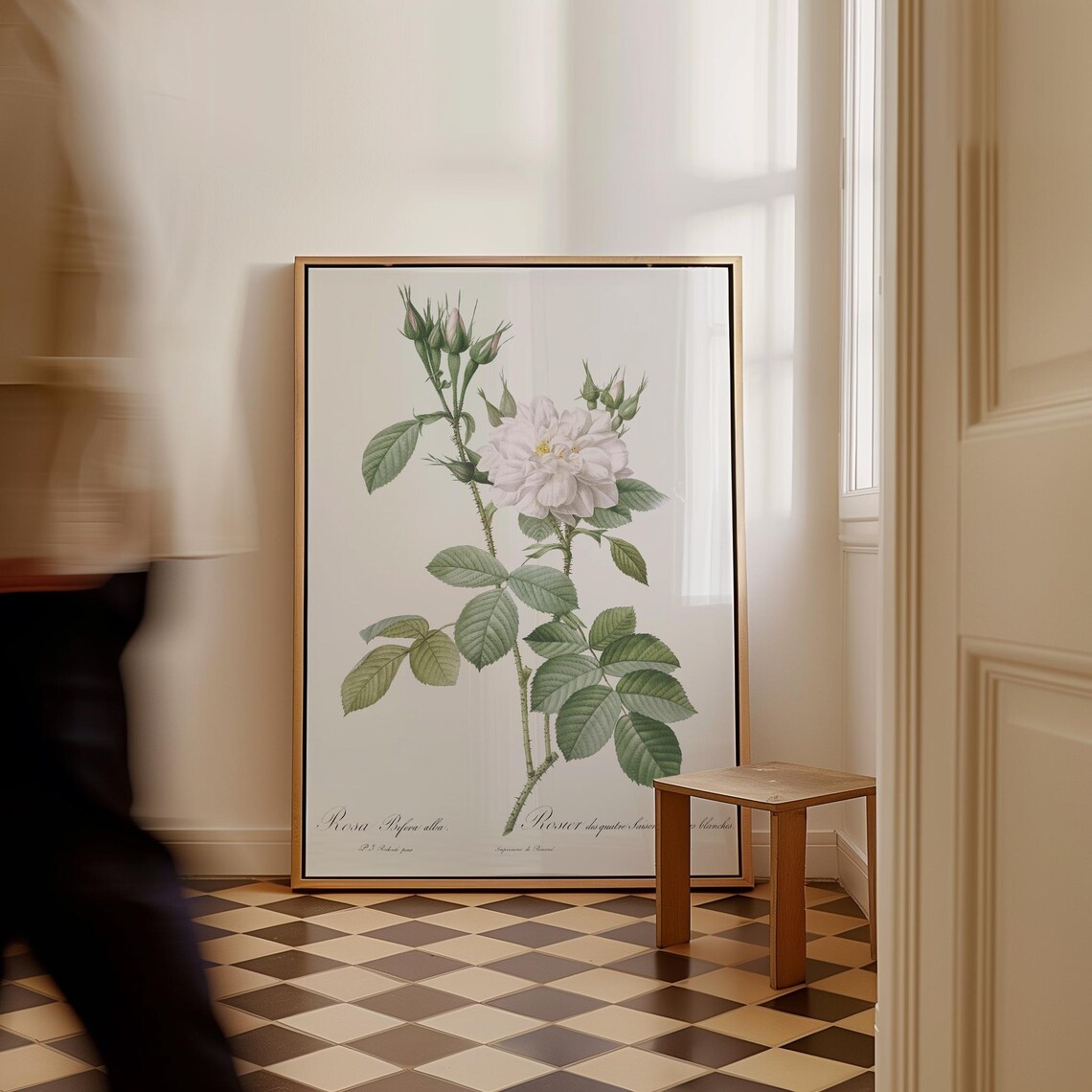 Redout Autumn Damask Rose Art Print Vintage Botanical Canvas