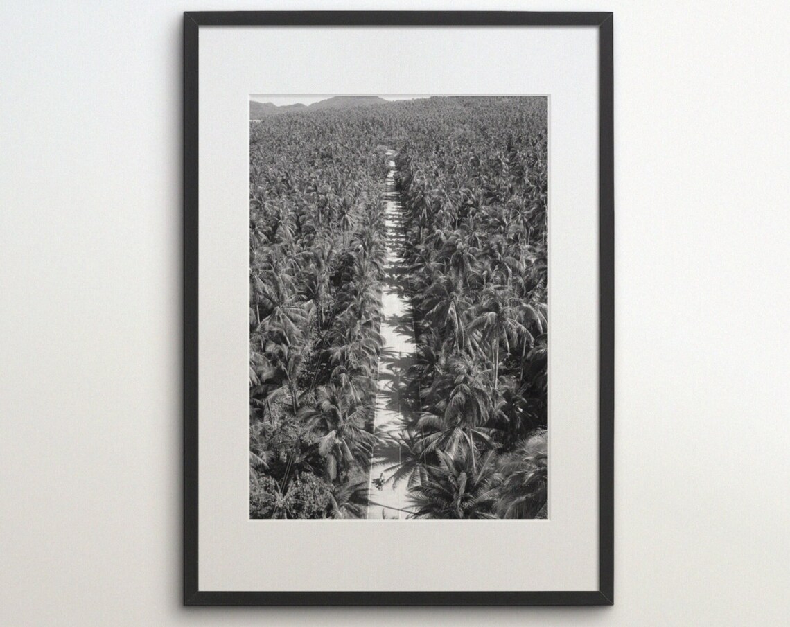 Philippines Coconut Tree Jungle Country Road Travel Poster