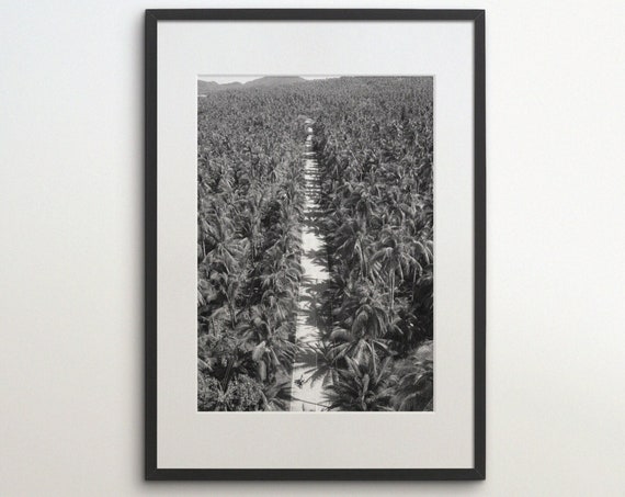 Philippines Coconut Tree Jungle Country Road Travel Poster