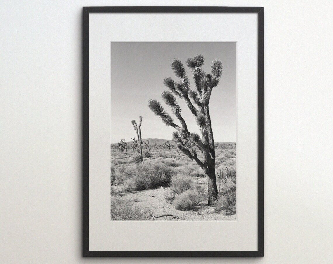 Joshua Tree National Park Black White Travel Poster