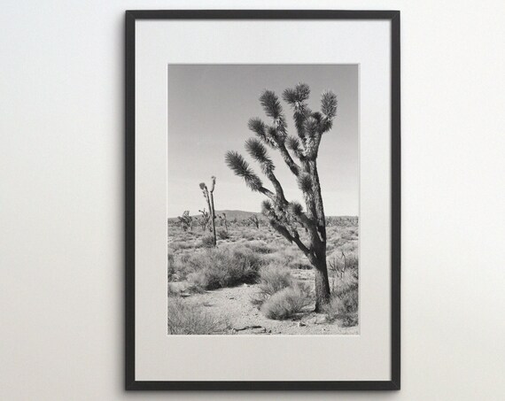 Joshua Tree National Park Black White Travel Poster