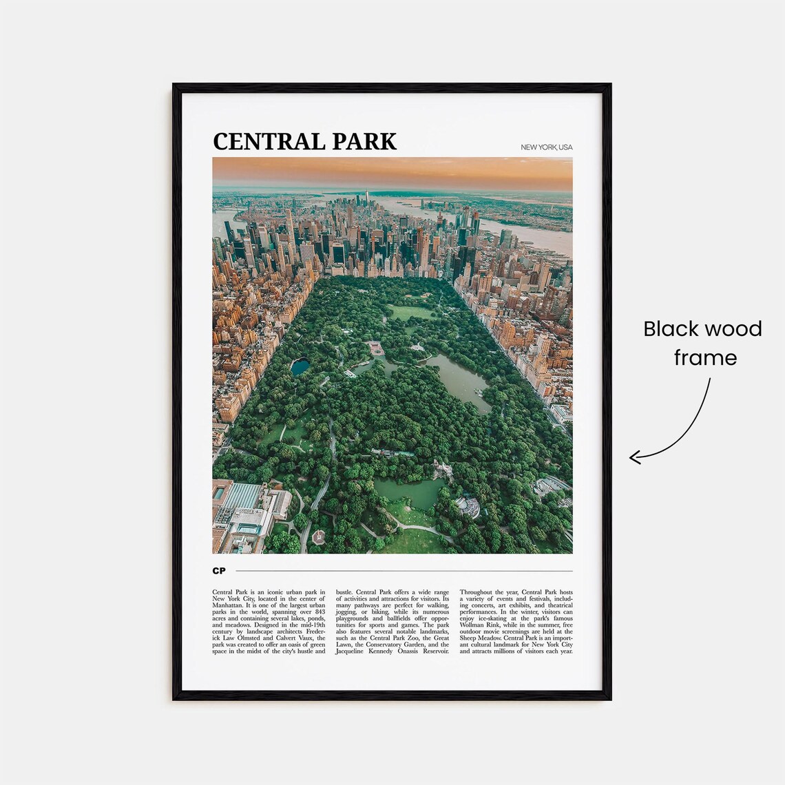 Central Park New York City Aerial Green Oasis Travel Poster Series - Image 2