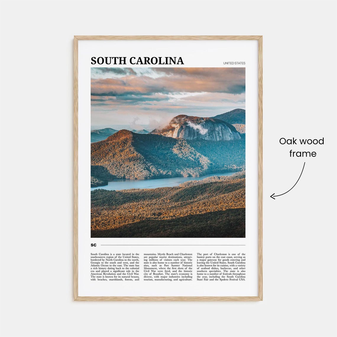 South Carolina Travel Poster No 3 South Carolina Wall Art South Carolina Poster Print South Carolina Photo South Carolina Decor Usa - Image 3