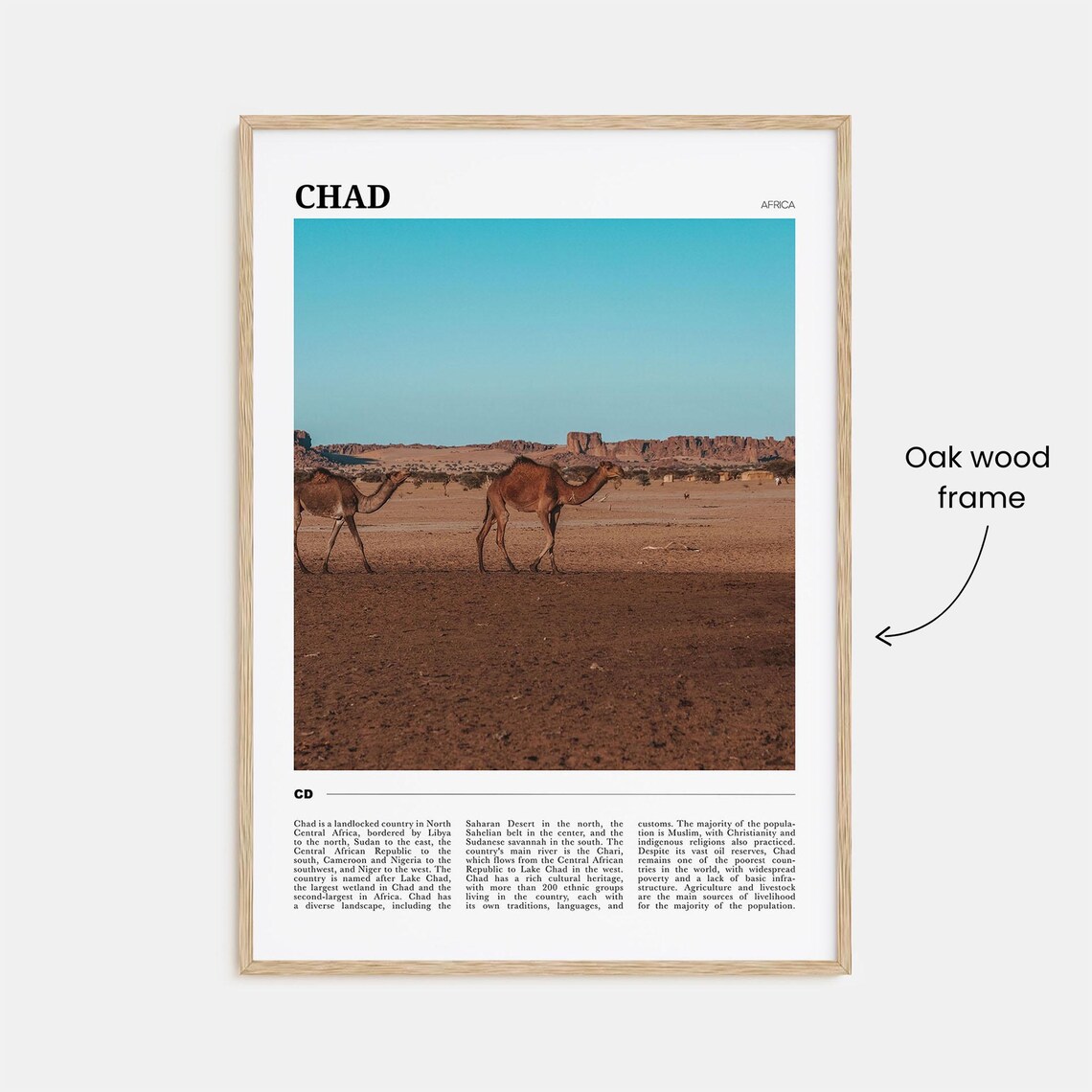 Chad Africa Camels Desert Sahara Landscape Photo Travel Poster - Image 3