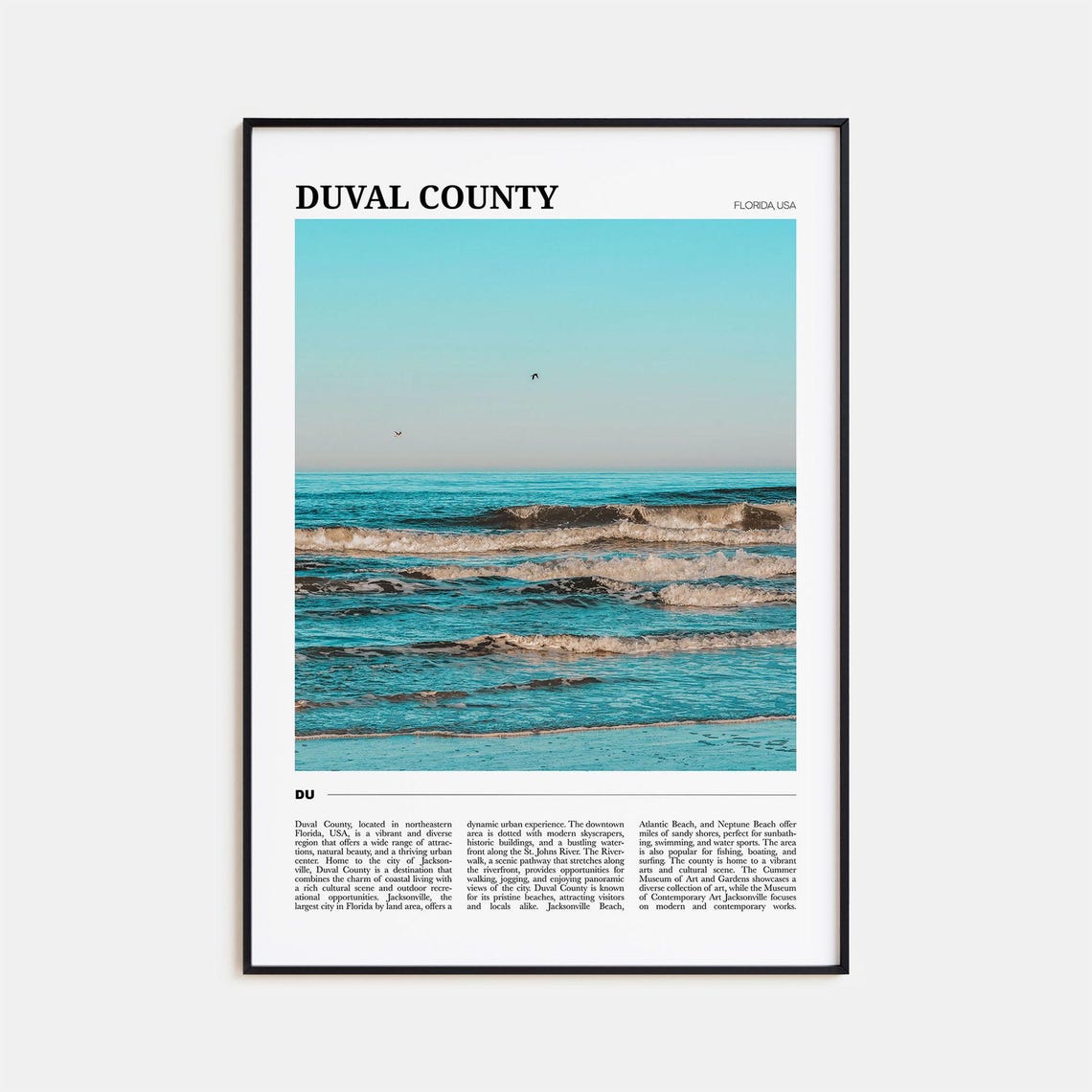 Duval County Florida Ocean Waves and Seabirds Beach Photography Poster