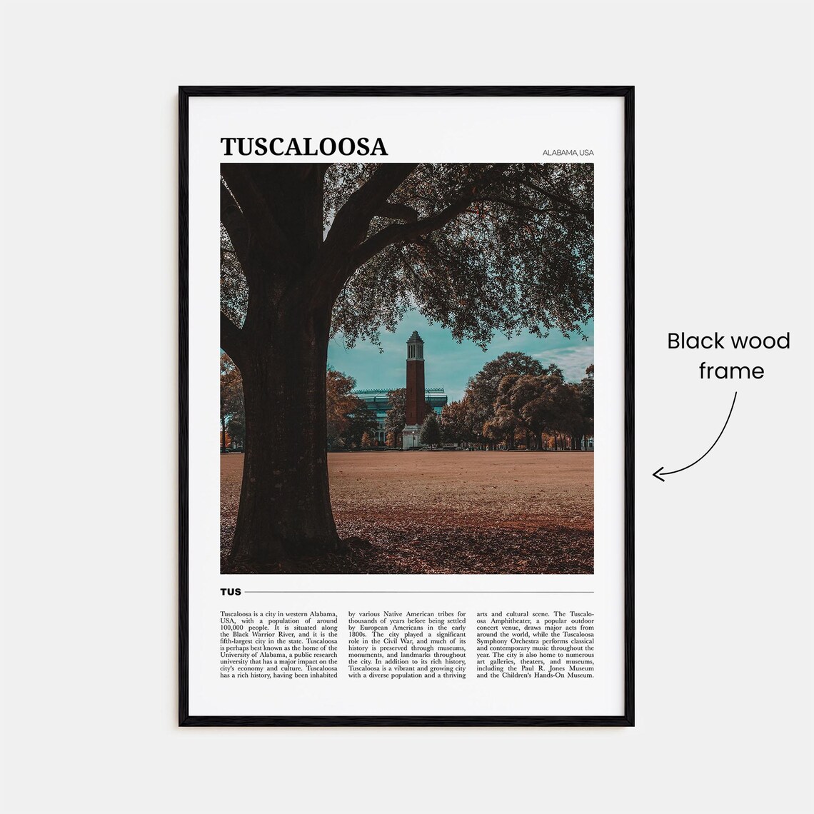 Tuscaloosa Travel Poster, Alabama USA Art Print - Image 2