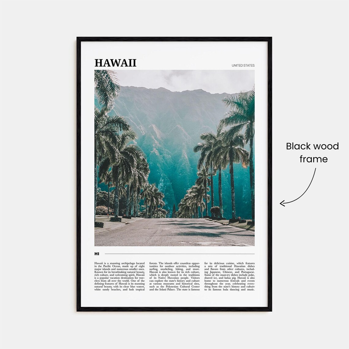 Hawaii Travel Poster No 1 Poster Print - Image 2