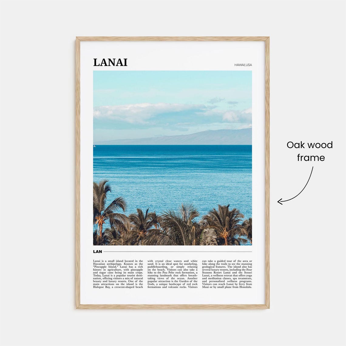 Lanai Hawaii Tropical Ocean Palms Pineapple Island Travel Poster - Image 3