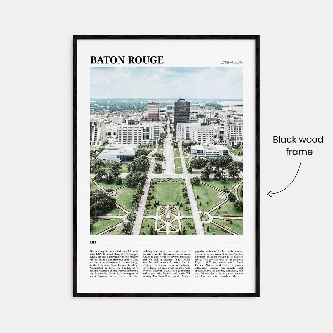 Baton Rouge Louisiana Downtown Gardens Aerial Cityscape Poster - Image 2