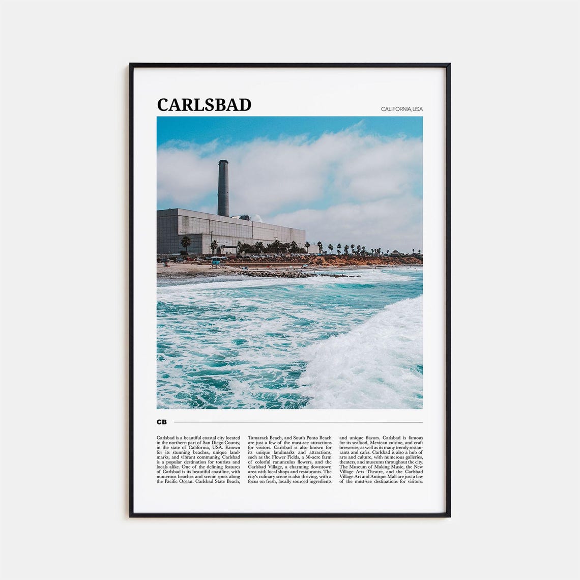 Carlsbad California Pacific Waves Beach Cliffs Palms Photo Poster