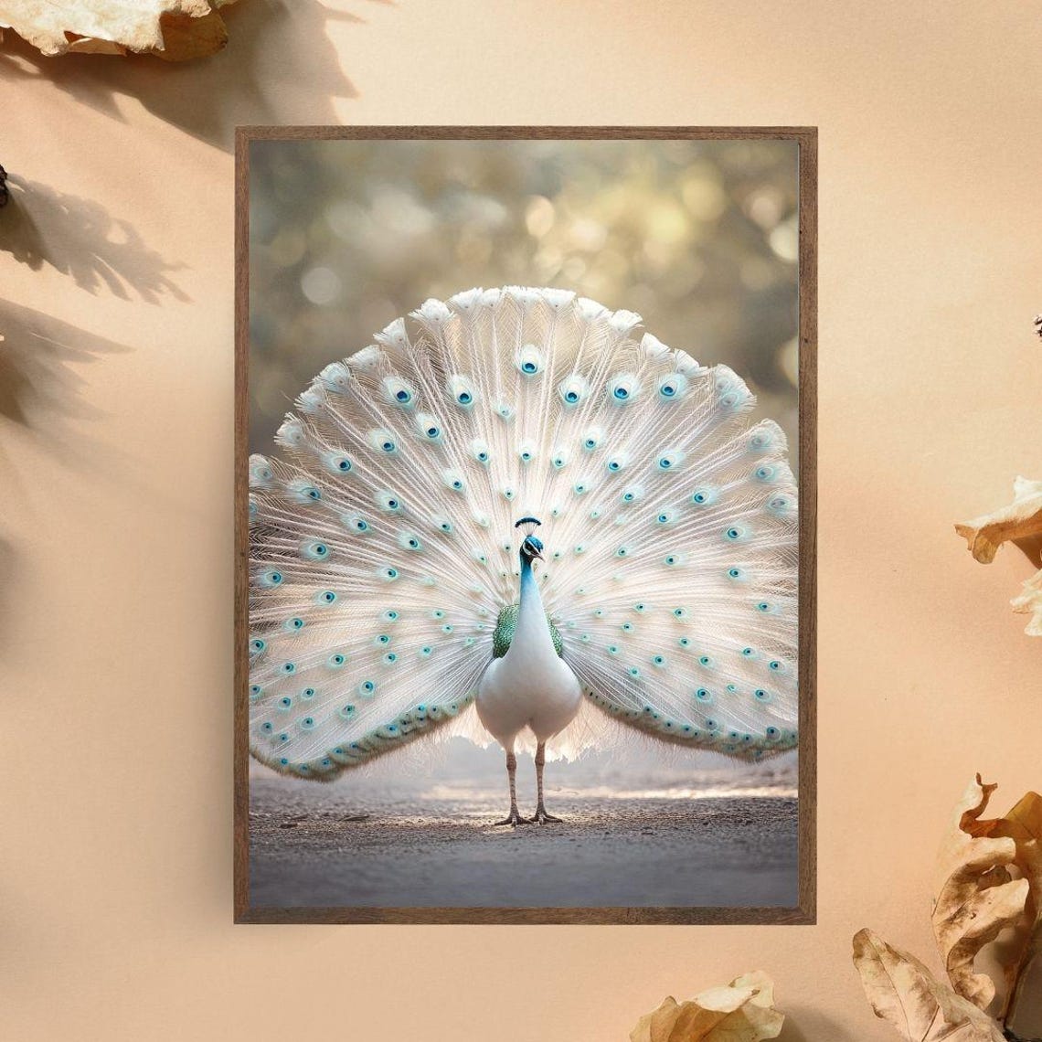 Majestic White Peacock Fanning Iridescent Tail Feathers Nature Poster