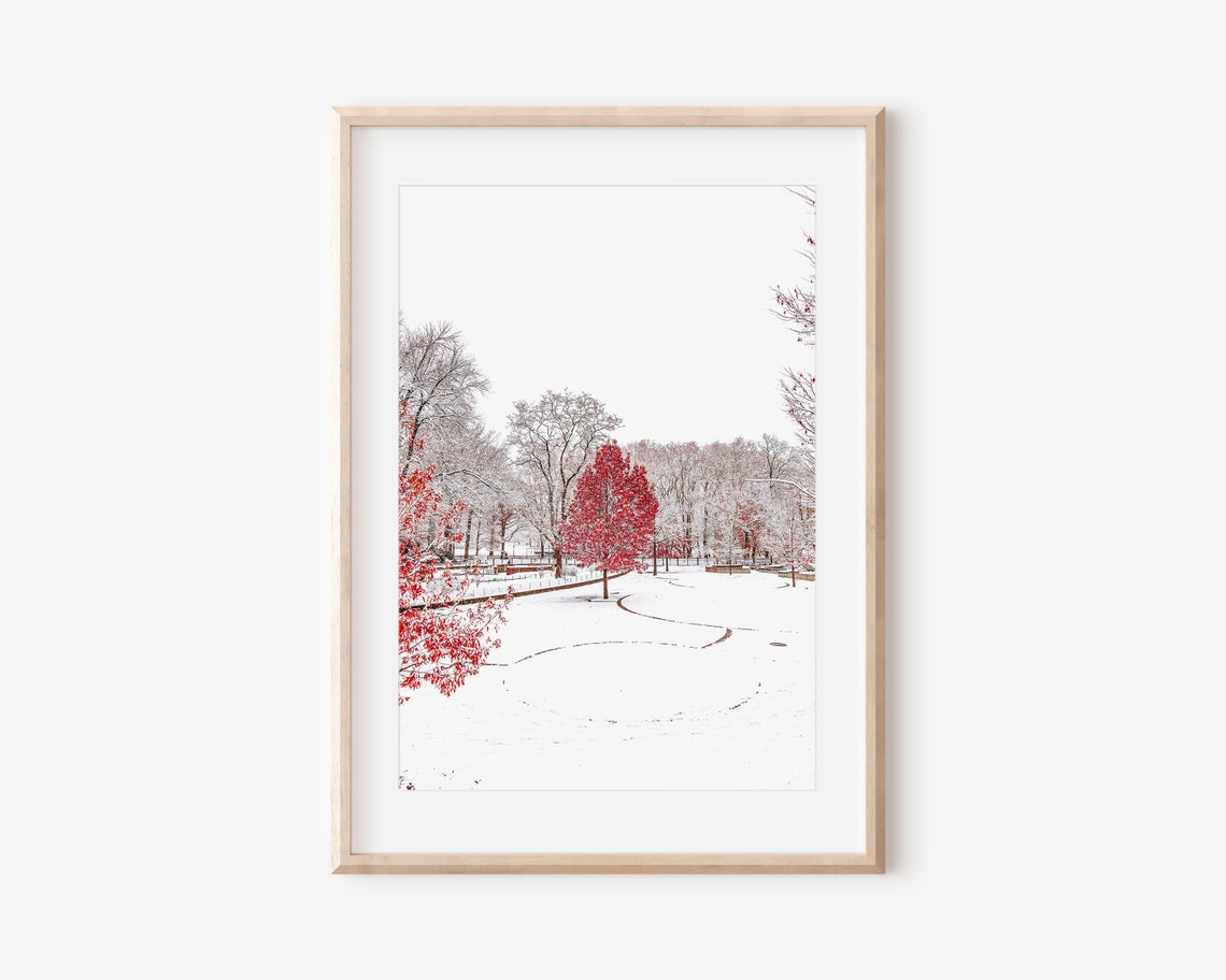 Snowy Park Red Leaf Trees Winter Wonderland Landscape Photo Poster