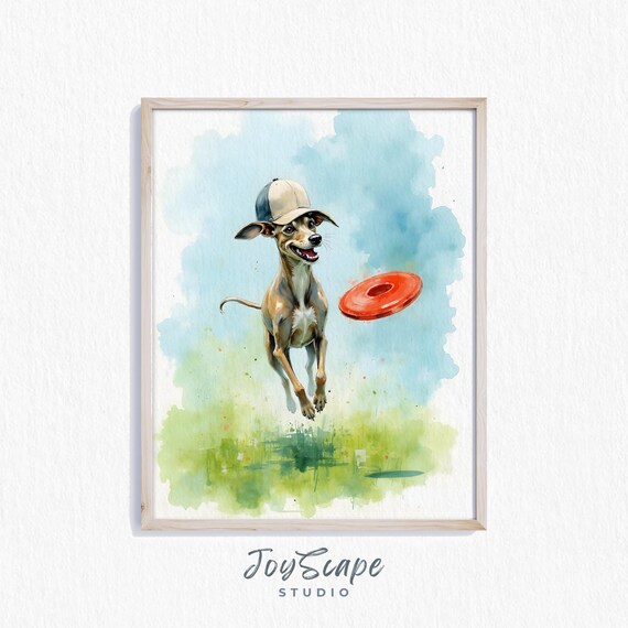 Playful Greyhound Catching Frisbee Watercolor Dog Art Poster