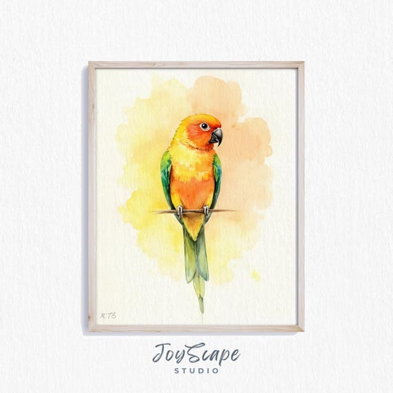 Sun Conure Watercolor Art Vibrant Bird Wall Rustic Nursery Decor Nature Themed Painting 275
