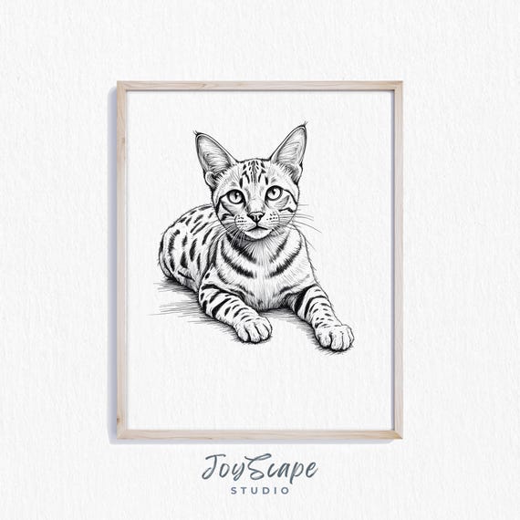 Bengal Cat Sketch Elegant Illustration Vintage Animal Art Black And White Decor Nursery Feline Wall Print