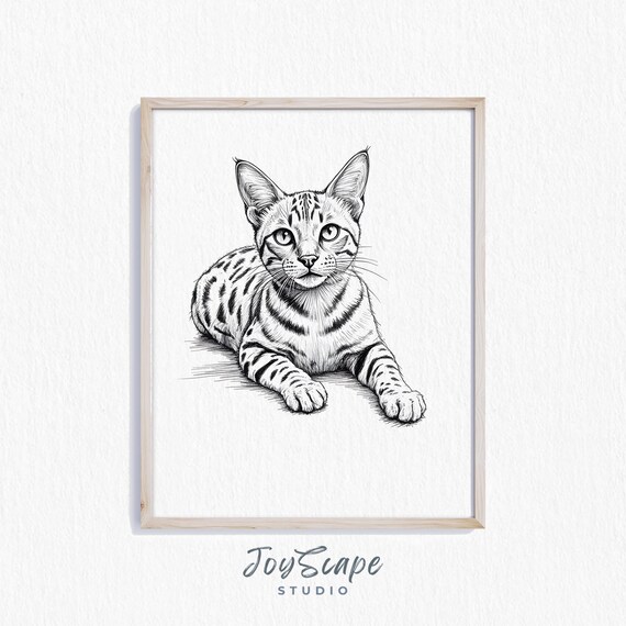 Spotted Cat Pencil Sketch Elegant Detailed Feline Wild Art Poster