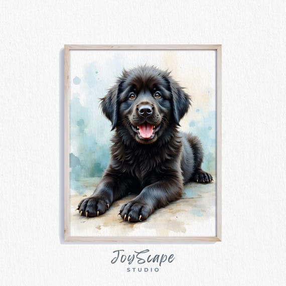 Newfoundland Puppy Art Adorable Pet Wall Cute Decor Print Rustic Animal Painting Nursery