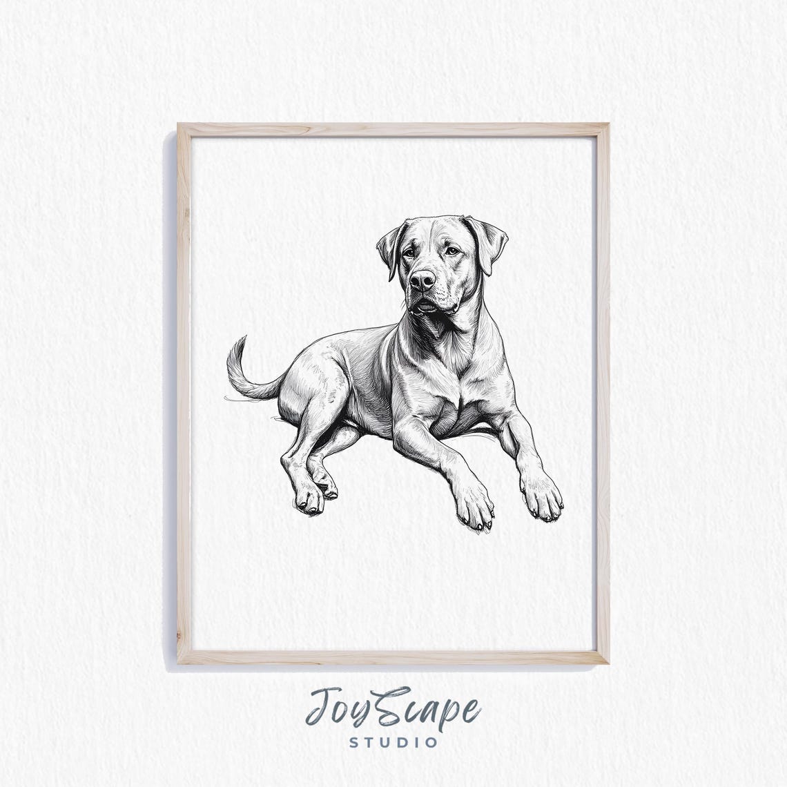 Noble Rottweiler Portrait Black and White Sketch Dog Art Poster
