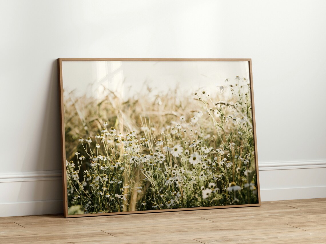 Daisy Field Photography Poster, Wildflower Wall Art
