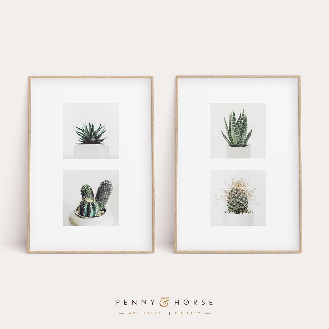 Potted Cactus and Succulent Photo Prints Modern Botanical Wall Poster