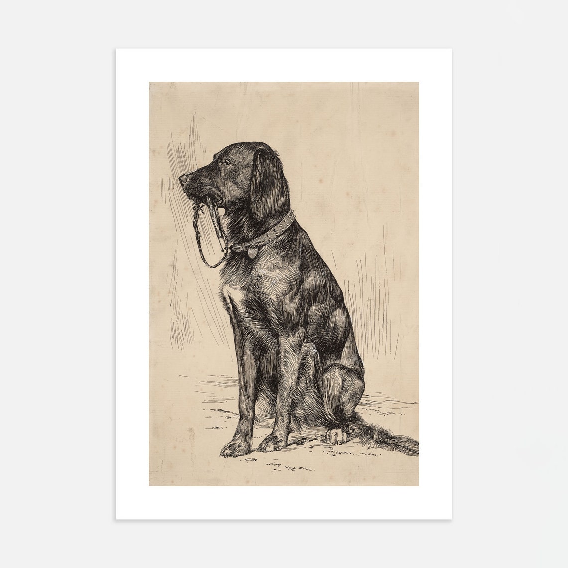 Black Labrador Art Print Vintage Dog Painting Antique Animal Portrait Dog Sketch Farmhouse Painting Art Vintage Dog Print - Image 4