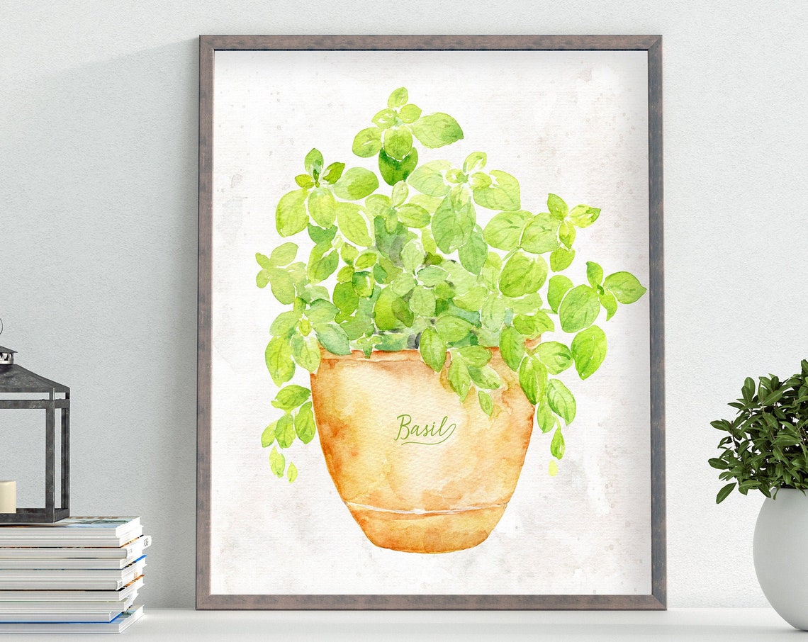 Basil Watercolor Herb in Terracotta Pot Kitchen Botanical Wall Poster - Image 3