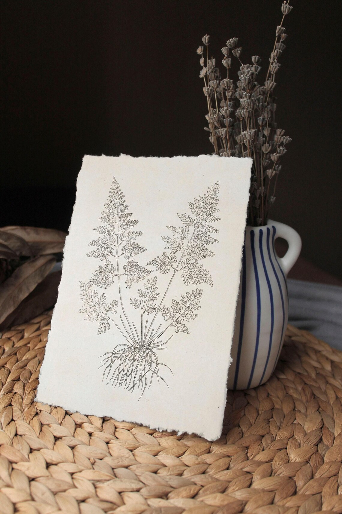 Antique Branch Drawing Vintage Fern Sketch Art Print - Image 3